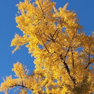 Meet your Posher, Masashi